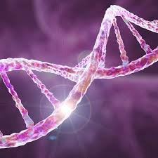 Organic Chemistry Presentation Topics